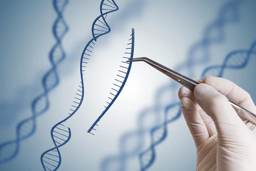CRISPR Technology Basics Certification Course - Reloaded - Image 4