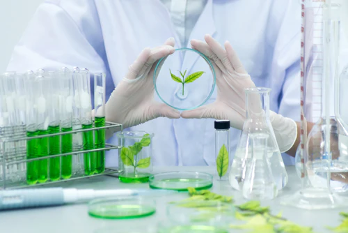 Industrial Biotechnology Internship - Image 3
