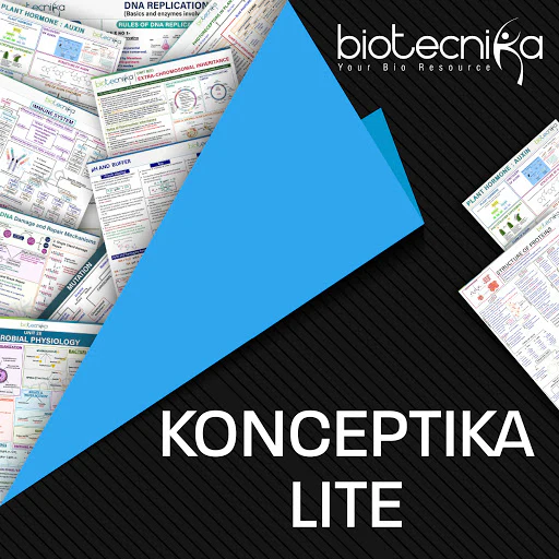 Konceptika Lite - 100 Flowcharts on 100 Important topics of CSIR NET Exam - Image 3