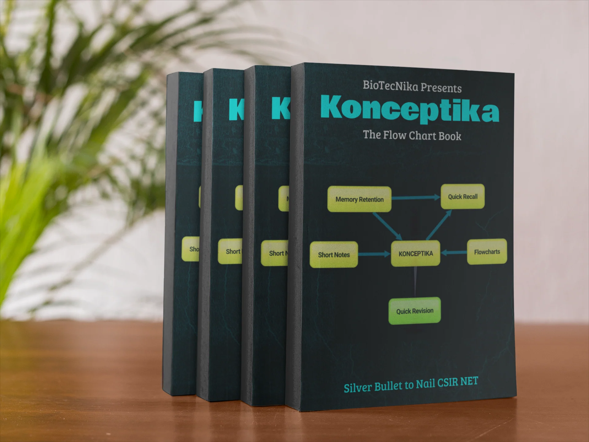 Konceptika - The Flowchart Book - Image 6