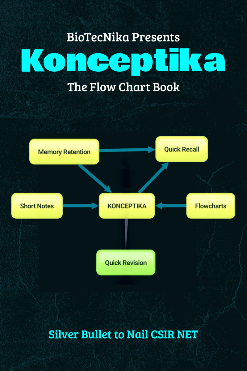 Konceptika - The Flowchart Book - Image 7