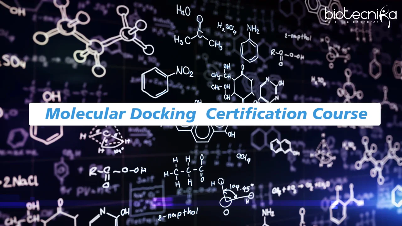Molecular Docking Training & Certification- Self Learning Course - Image 3