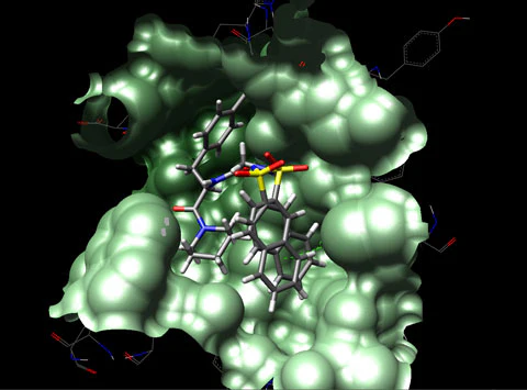 Molecular Docking Training & Certification- Self Learning Course - Image 4