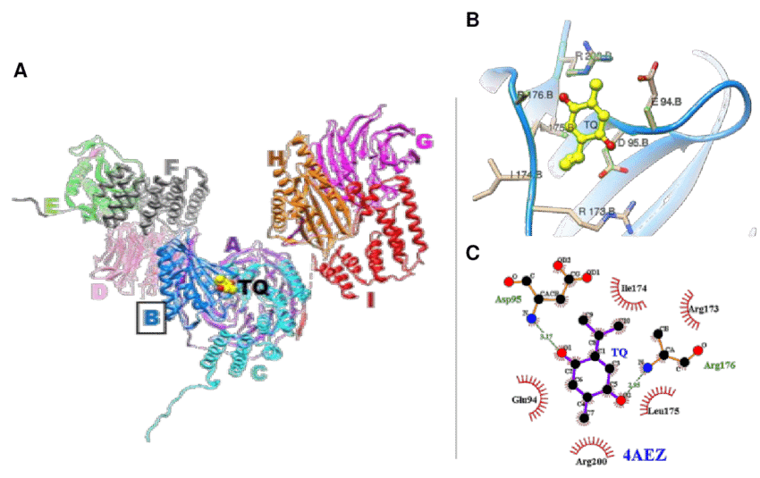 Molecular Docking Training & Certification- Self Learning Course - Image 5