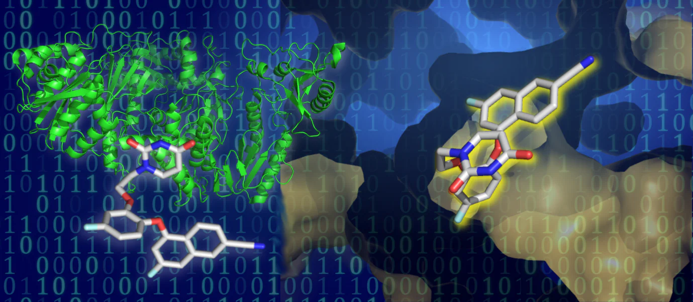 Molecular Docking Training & Certification- Self Learning Course - Image 6