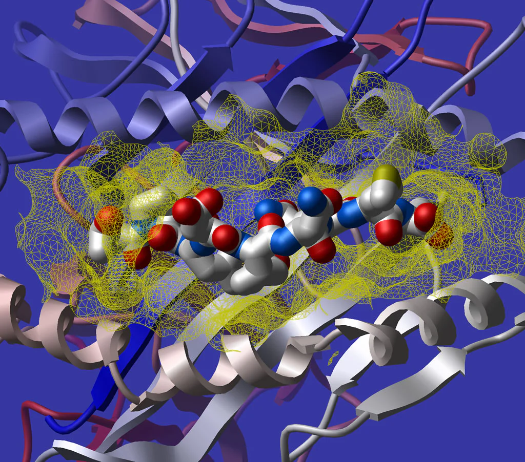 Molecular Docking Training & Certification- Self Learning Course - Image 7