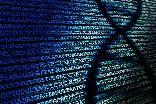 Next Gen Sequencing Certification Course - Image 4