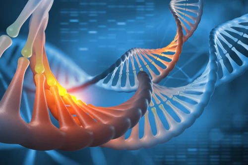 Next Gen Sequencing Certification Course - Image 5