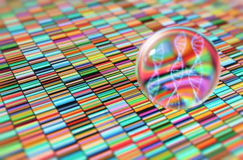 Next Gen Sequencing Certification Course - Image 6