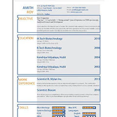 Resume / CV Designing - Image 3